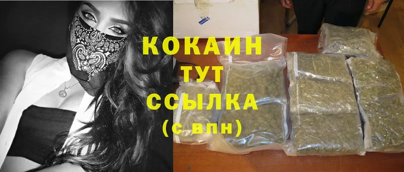 Cocaine Fish Scale Павловский Посад